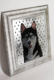F&S Gift Store Custom OIL on SILVER Pet Siberian husky portrait Luxurious High Quality Realistic painting from a photo unique Wall Art gift for dog lover.