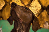 Personalized Oil Painting From Photos, handcraft art on Canvas-Show Case PKD100842-36