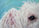 F&S Gift Store PoodlePuff, custom Pet Portrait Oil Painting Dog Portrait by puci, 8x8 inches