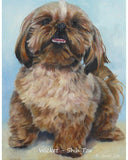 Personalized Oil Painting From Photos, handcraft art on Canvas-Show Case DHO100266-24