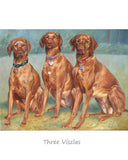 Personalized Oil Painting From Photos, handcraft art on Canvas-Show Case DHO100266-24