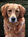 F&S Gift Store Hunting Dog Portrait in oils. Custom Dog portrait from photo. I will capture the character of your much loved dog in a quality oil painting.