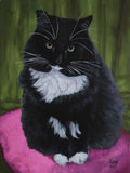 F&S Gift Store Custom Cat Portraits from photo, Oil painting, Commission a painting of your Cat, Cat Memorial, Gifts for her, Gifts for him.