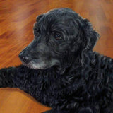 Personalized Oil Painting From Photos, handcraft art on Canvas-Show Case FEB102573-48