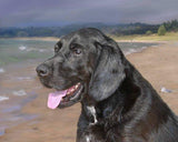 F&S Gift Store Vizsla Dog Portrait Painting, Custom Realistic hand painted digital oil, Black Lab art, lifelike, from your photo, pet loss memorial