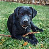Personalized Oil Painting From Photos, handcraft art on Canvas-Show Case FEB102573-48