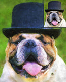 F&S Gift Store Custom Pet Dog Portrait Painting from Photo, Poster, Canvas or Digital File