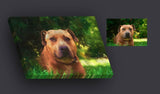 F&S Gift Store Custom Pet Dog Portrait Painting from Photo, Poster, Canvas or Digital File