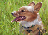 Personalized Oil Painting From Photos, handcraft art on Canvas-Show Case RJN100204-12