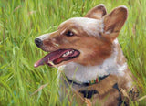 F&S Gift Store 10X10" Custom Dog Cat Animal Pet Portrait Oil Painting On Canvas