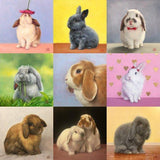 Personalized Oil Painting From Photos, handcraft art on Canvas-Show Case NER100836-36