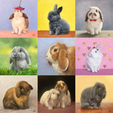 F&S Gift Store Custom Oil Bunny Rabbit portrait. Original oil painting from your photo. Pet portrait. Great gift