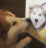 Personalized Oil Painting From Photos, handcraft art on Canvas-Show Case FGH102629-24