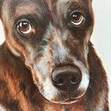 F&S Gift Store Custom canvas Oil Dog Painting, Custom Pet Portrait, Pet Painting from Photo, Pet Portrait Painting, Pet Oil Painting