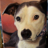 F&S Gift Store CUSTOM Dog Portrait Oil Painting, Puppy Pet Portrait Drawing on Canvas or Panel all sizes cute realistic style