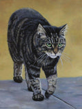 Personalized Oil Painting From Photos, handcraft art on Canvas-Show Case OSO100575-12