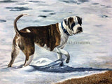 F&S Gift Store CUSTOM oil portrait on canvas - hand drawn portrait from your photo