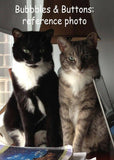 F&S Gift Store Feathered Felines, custom cat paintings, pet portrait oil paintings by puci 10x12"