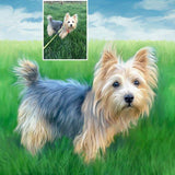 Personalized Oil Painting From Photos, handcraft art on Canvas-Show Case KRA101104-48