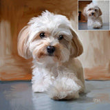 Personalized Oil Painting From Photos, handcraft art on Canvas-Show Case SBG101109-24