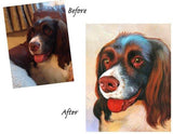 F&S Gift Store Pets Custom Portraits, Custom oil Portraits, Custom Oil Paintings, Dog Custom Paintings, Dogs Custom Portraits, Pet Oil Portraits, Etsy USA