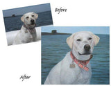 Personalized Oil Painting From Photos, handcraft art on Canvas-Show Case GMO102329-36