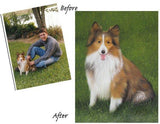 Personalized Oil Painting From Photos, handcraft art on Canvas-Show Case DGF102269-30