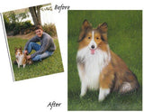 F&S Gift Store Pet Portrait Custom, From Photograph, Dog Painting, Memorial Pet Portrait, Pet Lover Gift, Custom Dog Portrait, Pet Portrait, Dog Custom