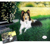Personalized Oil Painting From Photos, handcraft art on Canvas-Show Case DGF102269-30