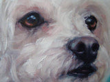F&S Gift Store PoodlePuff, custom Pet Portrait Oil Painting Dog Portrait by puci, 8x8 inches