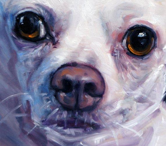 F&S Gift Store Upsy-Daisy Chihuahua, custom pet portraits dog paintings, original oil painting by puci, 8x10"