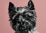 F&S Gift Store Pet Portraits - Original Oil on Paper Paintings - Dog Portrait - Pet Loss - Dog & Cat Lovers Gifts - Personalised Portraits from Photo
