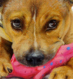 F&S Gift Store CUSTOM Dog Portrait Oil Painting, Puppy Pet Portrait Drawing on Canvas or Panel all sizes cute realistic style