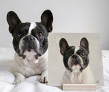 F&S Gift Store Custom Dog portrait oil painting. Pet portrait. Original oil painting. Commission painting. Christmas Gift for anyone Home decor