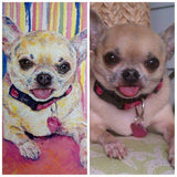 Personalized Oil Painting From Photos, handcraft art on Canvas-Show Case POD101806-20