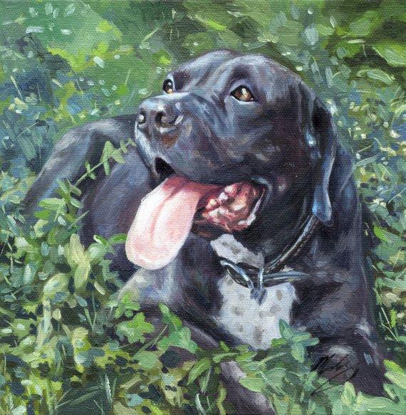 F&S Gift Store 10X10" Custom Dog Cat Animal Pet Portrait Oil Painting On Canvas