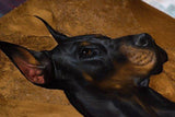 Personalized Oil Painting From Photos, handcraft art on Canvas-Show Case PKD100842-36