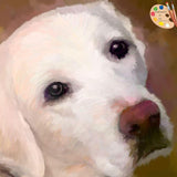 Personalized Oil Painting From Photos, handcraft art on Canvas-Show Case JRO101942-20