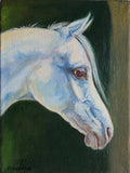 Personalized Oil Painting From Photos, handcraft art on Canvas-Show Case HSD100791-12