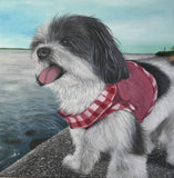F&S Gift Store pet portrait custom painting on 14x14 canvas hand painted dog cat art