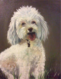 F&S Gift Store Single Pet Portrait (One subject) in Oils - Hand Painted From Your Photos - various sizes (not framed)