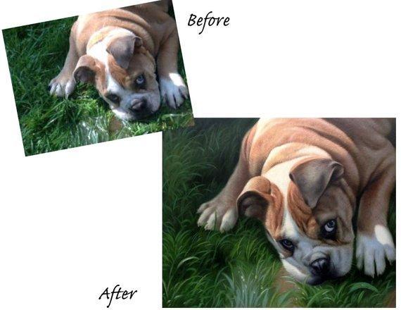 Personalized Oil Painting From Photos, handcraft art on Canvas-Show Case GMO102329-36