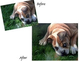 Personalized Oil Painting From Photos, handcraft art on Canvas-Show Case GMO102329-36