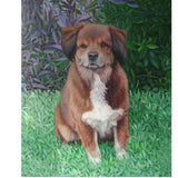 Personalized Oil Painting From Photos, handcraft art on Canvas-Show Case GMO102329-36