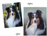 Personalized Oil Painting From Photos, handcraft art on Canvas-Show Case DGF102269-30