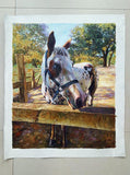 F&S Gift Store 100% Hand Painted Commission Horse oil painting Personalized impressionist Animal Pet Art - paint from digital photos/images