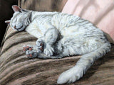 Personalized Oil Painting From Photos, handcraft art on Canvas-Show Case QEH102303-48