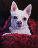 F&S Gift Store Upsy-Daisy Chihuahua, custom pet portraits dog paintings, original oil painting by puci, 8x10"