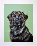 F&S Gift Store Pet Portraits - Original Oil on Paper Paintings - Dog Portrait - Pet Loss - Dog & Cat Lovers Gifts - Personalised Portraits from Photo