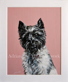 F&S Gift Store Pet Portraits - Original Oil on Paper Paintings - Dog Portrait - Pet Loss - Dog & Cat Lovers Gifts - Personalised Portraits from Photo